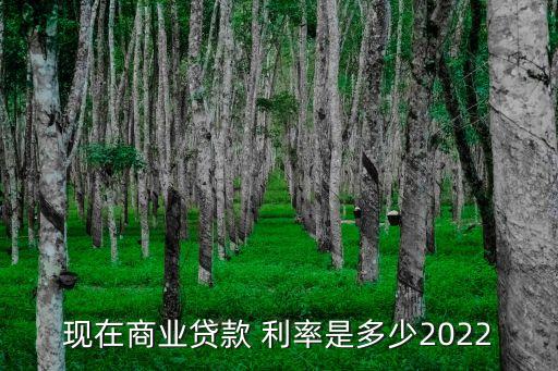 商貸日利率是多少錢