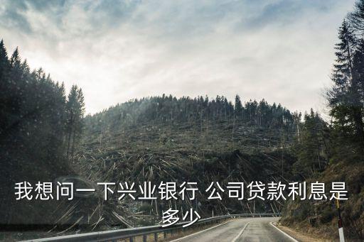 我想問一下興業(yè)銀行 公司貸款利息是多少
