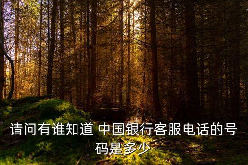 盤錦中國銀行電話號碼是多少,中國銀行服務電話號碼多少