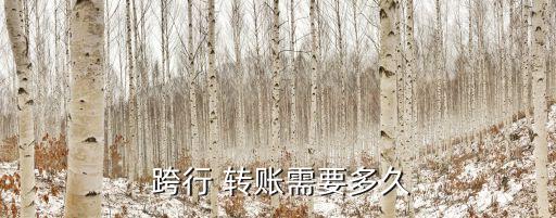 跨行異地轉(zhuǎn)賬能轉(zhuǎn)多少時(shí)間