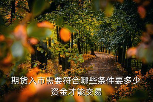 期貨市場(chǎng)有多少資金,進(jìn)入期貨市場(chǎng)需要多少資金