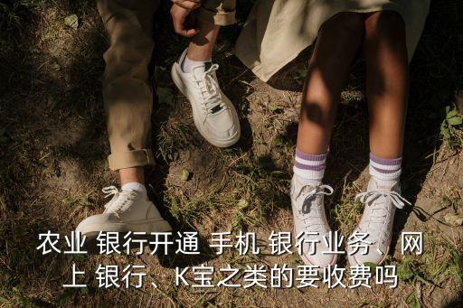 農(nóng)行辦手機銀行多少錢,農(nóng)行公司帳戶可以辦手機銀行嗎