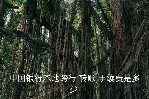 中國銀行本地跨行 轉(zhuǎn)賬 手續(xù)費(fèi)是多少