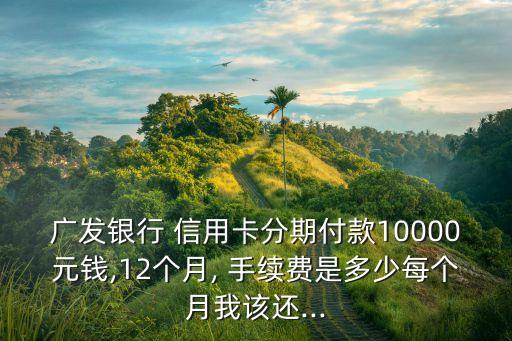 廣發(fā)銀行 信用卡分期付款10000元錢,12個(gè)月, 手續(xù)費(fèi)是多少每個(gè)月我該還...