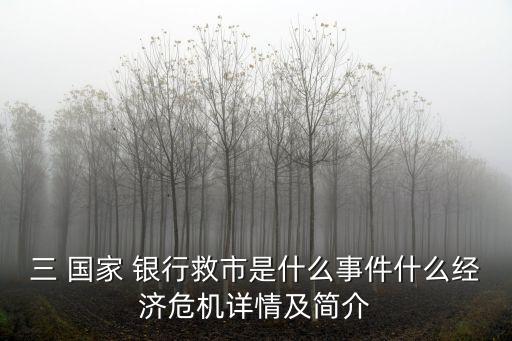 三 國家 銀行救市是什么事件什么經(jīng)濟危機詳情及簡介