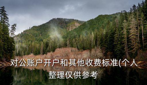  對公賬戶開戶和其他收費標準(個人整理僅供參考