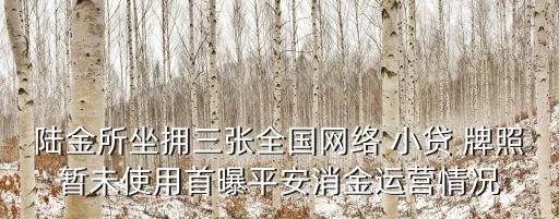 小貸公司牌照多少錢,小貸牌照有多少家