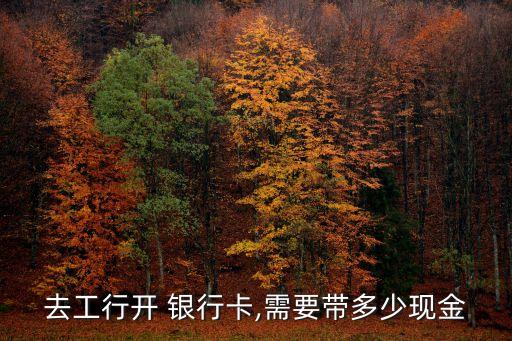 去工行開 銀行卡,需要帶多少現(xiàn)金