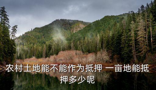 一畝田貸多少錢(qián),貸款一次能貸多少
