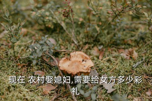 現(xiàn)在 農(nóng)村娶媳婦,需要給女方多少彩禮