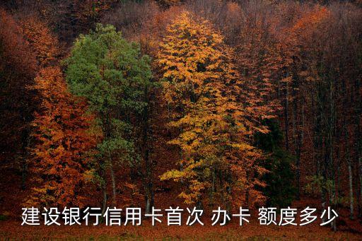 建設(shè)銀行信用卡首次 辦卡 額度多少