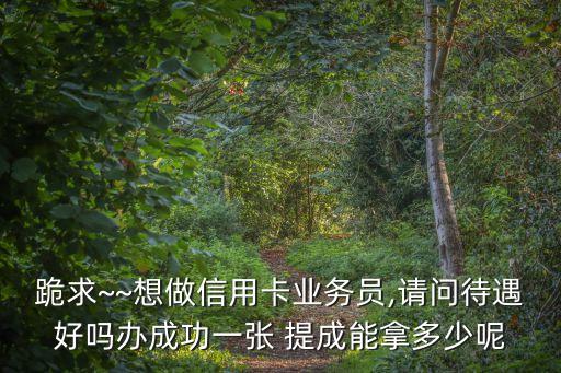 銀行辦工資卡提成多少錢,銀行柜員辦卡有提成嗎