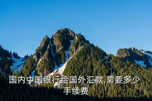 國內(nèi)中國銀行給國外匯款.需要多少 手續(xù)費(fèi)