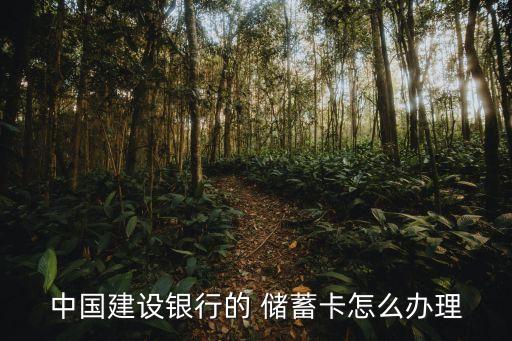 辦建行儲蓄卡要多少錢,建行可以辦幾張一類儲蓄卡