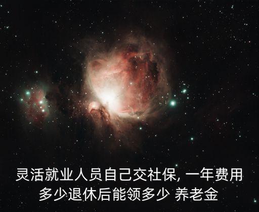 靈活就業(yè)人員自己交社保, 一年費(fèi)用多少退休后能領(lǐng)多少 養(yǎng)老金