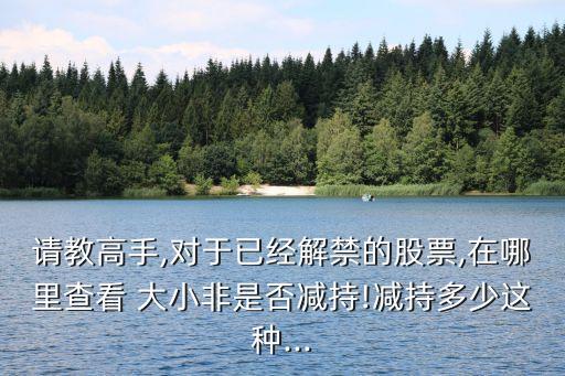 請(qǐng)教高手,對(duì)于已經(jīng)解禁的股票,在哪里查看 大小非是否減持!減持多少這種...