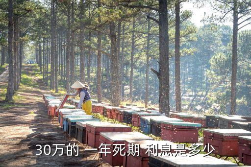 三十萬定期利息一年多少,如果三十萬定期一年利息是多少?