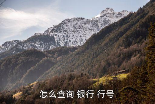 銀行行號(hào)多少位,銀行公戶怎么開戶
