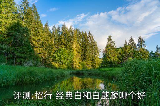 經(jīng)典白生日當(dāng)天刷多少錢,白麒麟生日當(dāng)天怎么刷