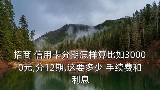 信用卡分期利息和手續(xù)費(fèi)是多少,民生銀行信用卡分期利息和手續(xù)費(fèi)是多少