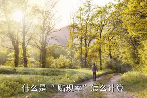 2015年貼現(xiàn)率是多少
