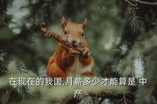 收入多少算中產(chǎn),2022中國收入階層劃分圖官方