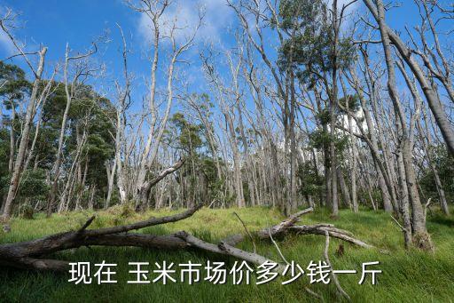現(xiàn)在 玉米市場價多少錢一斤
