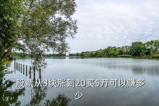 股票升多少才賺錢,股票100個人有多少賺錢的