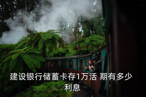 建設(shè)銀行儲蓄卡存1萬活 期有多少 利息