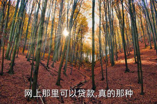 一信貸網址多少,信貸收取多少手續(xù)費