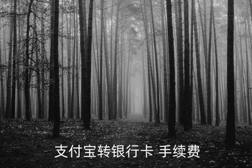  支付寶轉銀行卡 手續(xù)費