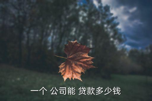 一個(gè) 公司能 貸款多少錢