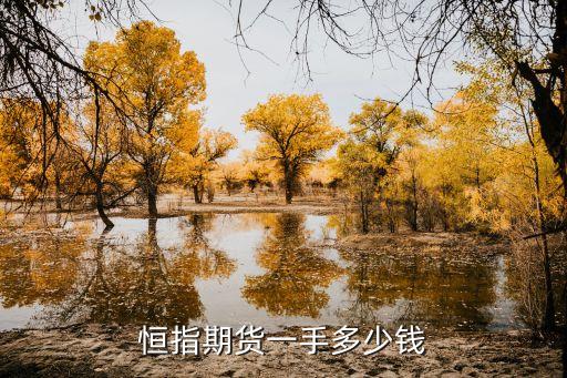 恒指期貨一手多少錢
