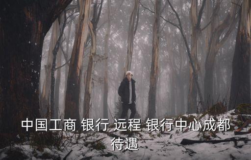 中國工商 銀行 遠(yuǎn)程 銀行中心成都待遇