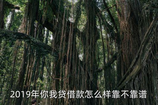 2019年你我貸借款怎么樣靠不靠譜
