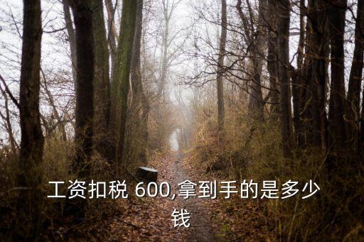  工資扣稅 600,拿到手的是多少錢