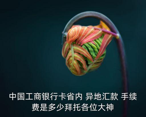 中國(guó)工商銀行卡省內(nèi) 異地匯款 手續(xù)費(fèi)是多少拜托各位大神