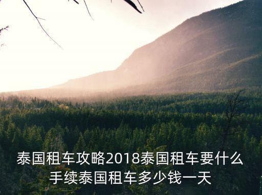avis超時(shí)費(fèi)多少