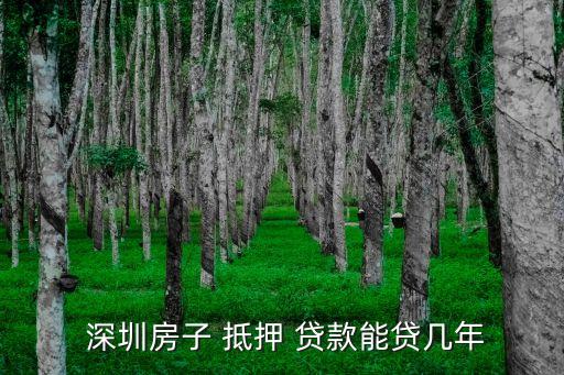 深圳房產(chǎn)抵押貸款多少,深圳銀行房產(chǎn)抵押貸款公司