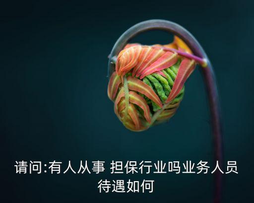 請(qǐng)問:有人從事 擔(dān)保行業(yè)嗎業(yè)務(wù)人員待遇如何