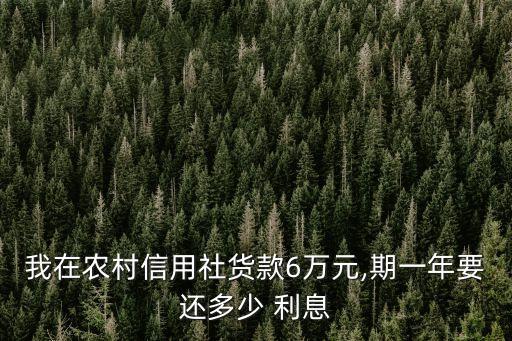 借6萬1年利息多少錢,500萬一個(gè)月利息多少錢