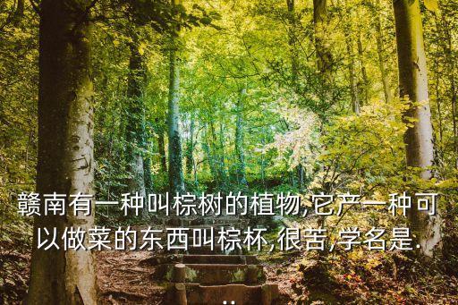 贛南有一種叫棕樹的植物,它產(chǎn)一種可以做菜的東西叫棕杯,很苦,學(xué)名是...