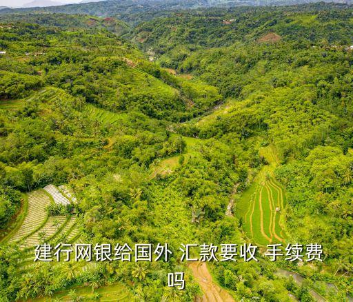 建行韓國(guó)匯款手續(xù)費(fèi)是多少錢,建行現(xiàn)金匯款要手續(xù)費(fèi)嗎