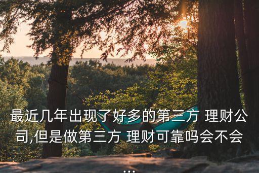 最近幾年出現(xiàn)了好多的第三方 理財(cái)公司,但是做第三方 理財(cái)可靠嗎會(huì)不會(huì)...