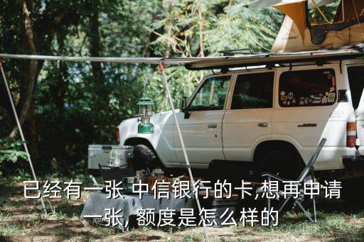 中信雙幣普卡提額度多少錢
