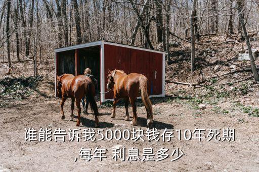 誰能告訴我5000塊錢存10年死期,每年 利息是多少