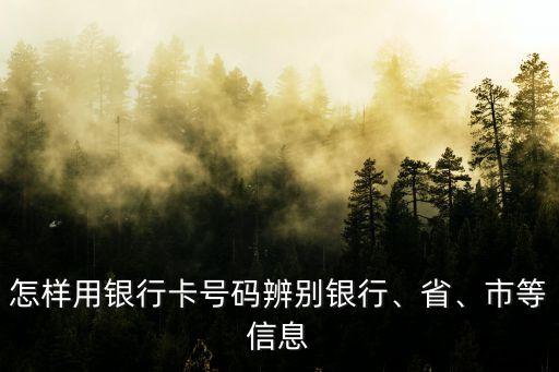 怎樣用銀行卡號(hào)碼辨別銀行、省、市等信息