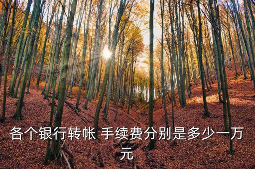 各個銀行轉(zhuǎn)帳 手續(xù)費分別是多少一萬元