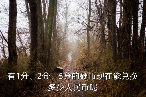 有1分、2分、5分的硬幣現(xiàn)在能兌換多少人民幣呢