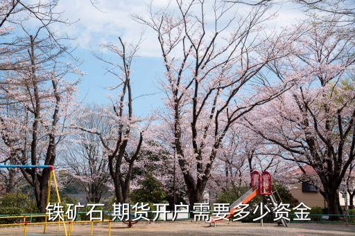 鐵礦石期貨多少錢,國際鐵礦石期貨行情